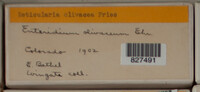 Image Associated With the Occurence
